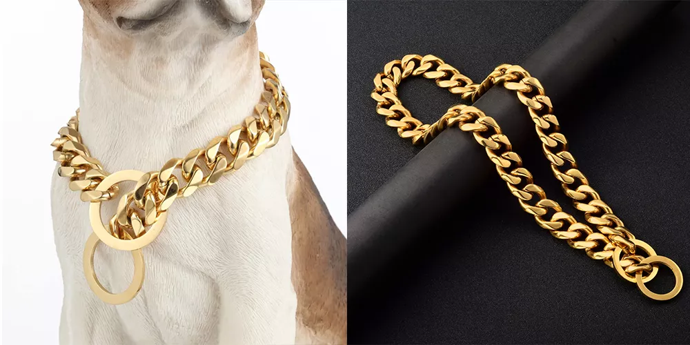 14k gold dog collar